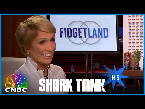 Firdgetland Shark Tank Pitch
