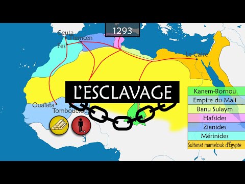 L'histoire de l'esclavage - Résumé sur cartes