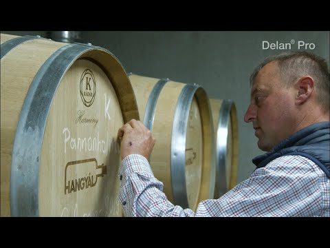 Delan® Pro tapasztalatok - Hangyál Balázs