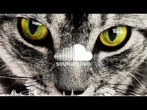 Dj kalle Up In My Jam All Of A Sudden