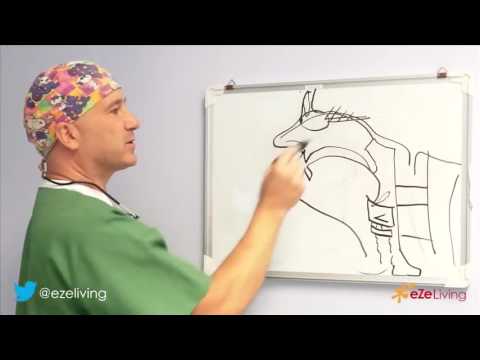 Why Breathing Through Your Nose is Important