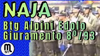 preview picture of video 'Giuramento 8° scaglione 1993 Battaglione Alpini Edolo a Merano.flv'