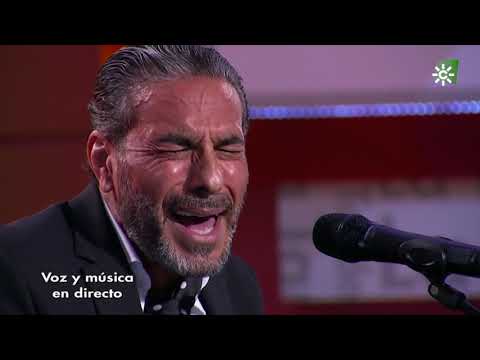 Seguiriyas. Pedro "El Granaíno". 2020