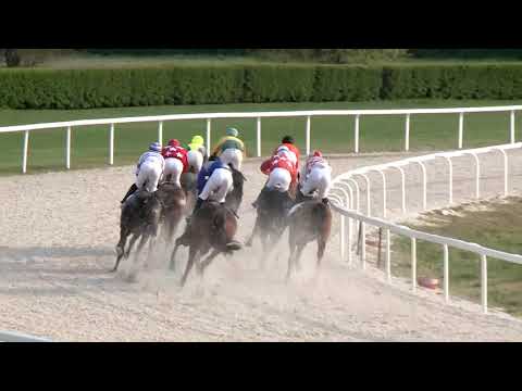 20190.4.14. 08. futam - KÁPOSZTÁSMEGYERI DÍJ (HUN Gd-3) (szintetikus pálya)