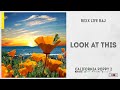 Rexx Life Raj Look At This California Poppy 2