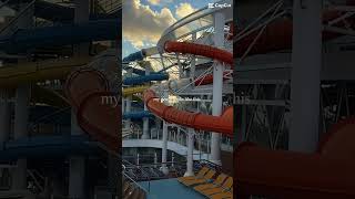 Cruise Life #cruiselife