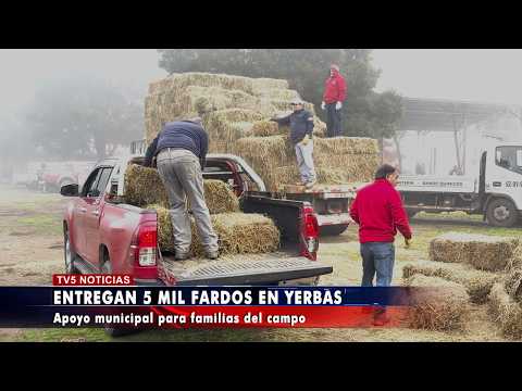 MUNICIPIO DE YERBAS BUENAS INICIA HISTÓRICA ENTREGA DE 5 MIL FARDOS A AGRICULTORES