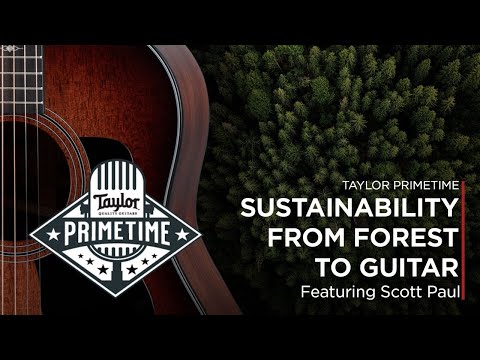 Sustainability: From Forest to Guitar | Taylor Primetime Episode 5