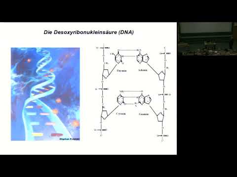 Die Geschichte einer Entdeckung - ein DNA Reparaturenzym auf dem Weg in die Klinik