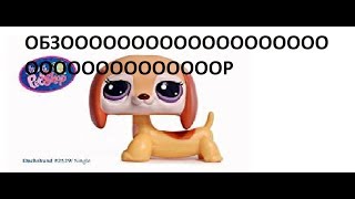 Обзор на комнату моей собачки + одежда