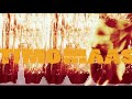 TIMO MAAS-Pictures(Paul Van Dyk Remix) | Official Audio