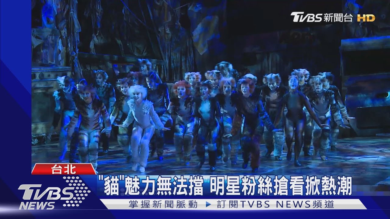 「貓」魅力無法擋 明星粉絲搶看掀熱潮