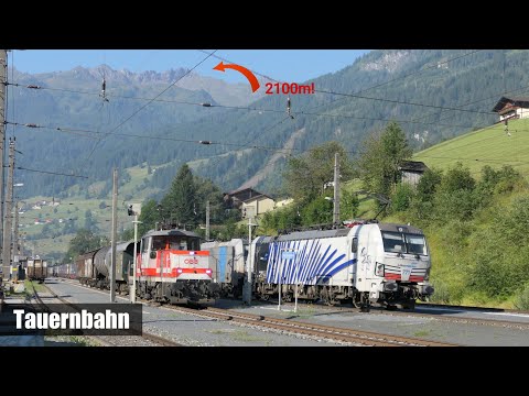 Sperrung der Brennerbahn! - Viel Güterverkehr auf der Tauernbahn August 2025 [Teil 1]