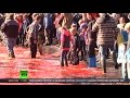 Red Waters: Faroe Islands Whale Slaughter (RT.