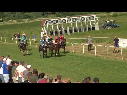 Velika Kladuša - Feal doo 2100m 3g - 14.6.2025 - Runaway Boy