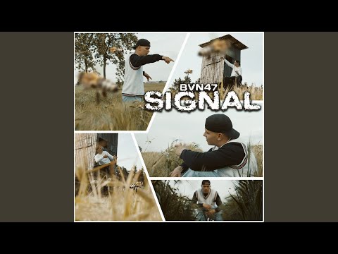 Signal