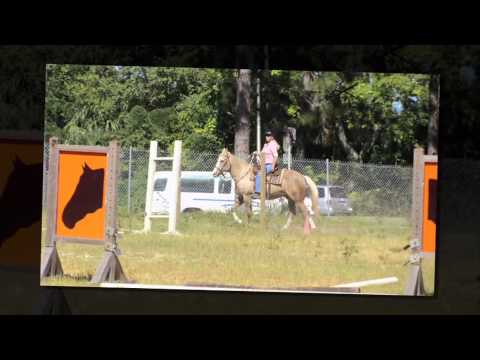 Tunguska Electronic Music Society - Highway