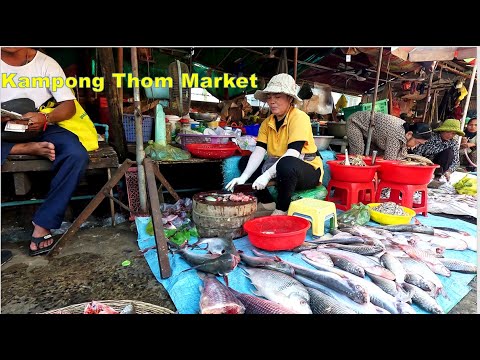 Fresh vegetables, fish and meat in Kampong Thom Market