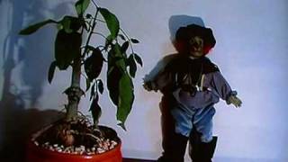 Elfo Gato con botas