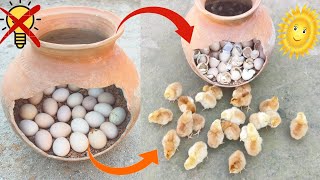 Hatch eggs without incubator 100% real video ||Egg incubator without electricity ||Sunlight hatching