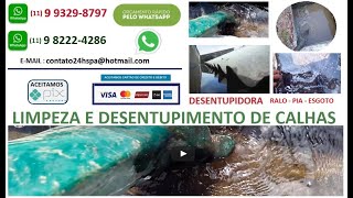 preview picture of video 'P . Y Serviços,(11) 2807-7715 Dedetizadora Bela Vista .'
