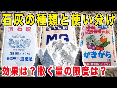 園芸 木の石灰処理