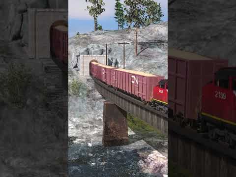CN Woodchip Train pops out of a tunnel and crosses a bridge #railfans #trains #trainz #trainz3
