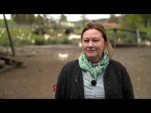 Bioeier vom Taubenbergerhof Weyarn