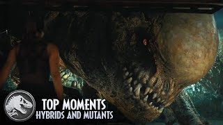 Download lagu The Top Hybrid and Mutant Dinosaur Moments mp3