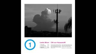 Leslie Winer / Carl Michael von Hauswolff - Can I Take Your Order