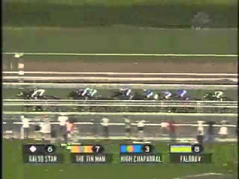 2003 Breeders Cup Turf - High Chaparral & Johar