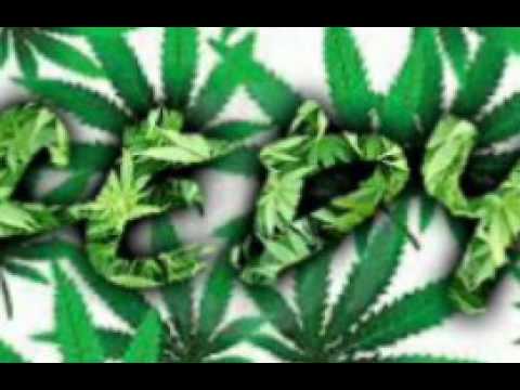 Fedy Xii Ft Yst Rmk - Vien Zooké 2k17