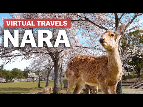 奈良的虛擬旅行｜日本指南網 (Virtual Travels in Nara | japan-guide.com)
