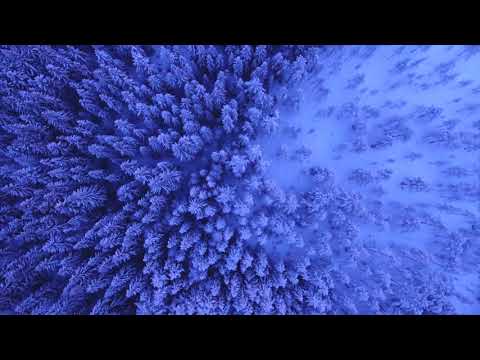 Simon Svensson - Det som finns bortom