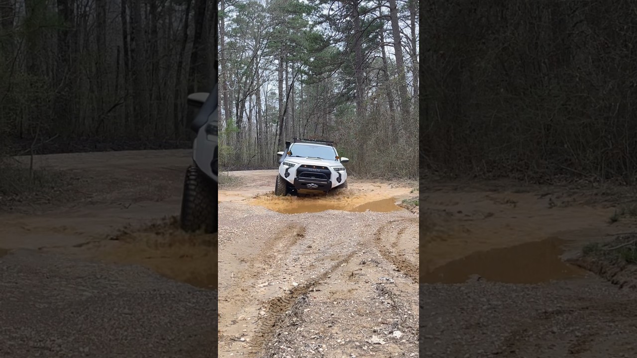 It looked fun! #mud #4runner #toyota #shorts