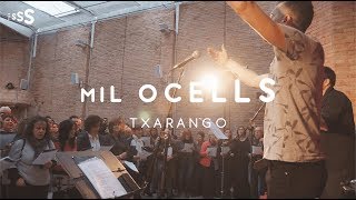 The Sing Sang Sung :  Mil Ocells de Txarango