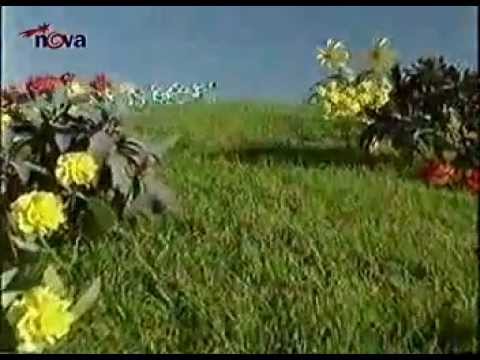 TDvokov’s Video 130505994493 3RNeLwxrNk4