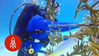 'That's Amazing' Episode 3 | Meet Earth's Minders