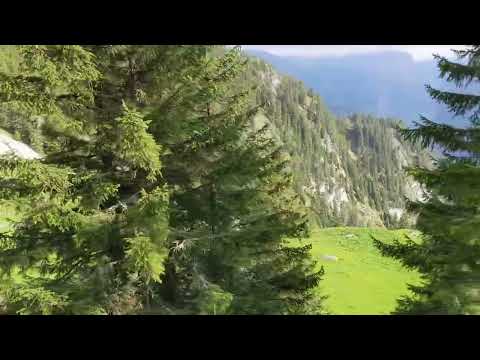 Towards Wilderswil in the Schynige Platte-Bahn