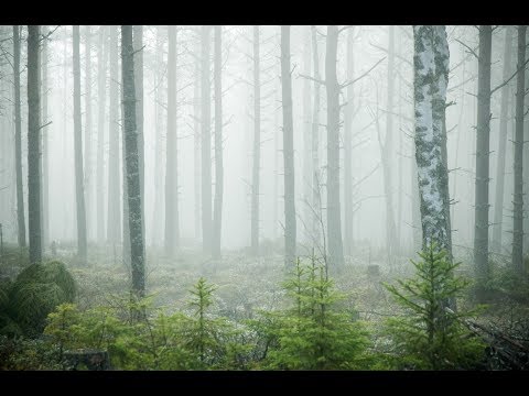 Torbjörn Iwan Lundquist: Symphony No.1 (HW 20) (1956)