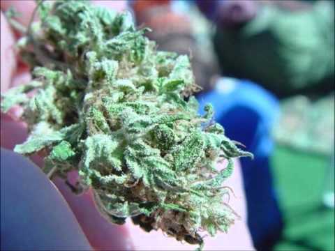 Sly & David Boomah - Bad up the town VIP