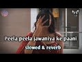 Peela Peela Jawaniya Ke Paani Slowed Reverb BUNNYYT0000