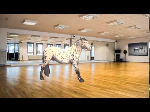 Das Lustige Pferd Scout von Rosi Hochegger macht Dehnübungen fleißig in GIF