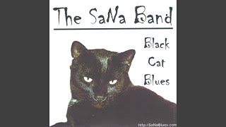 Black Cat Blues (Memphis Minnie)