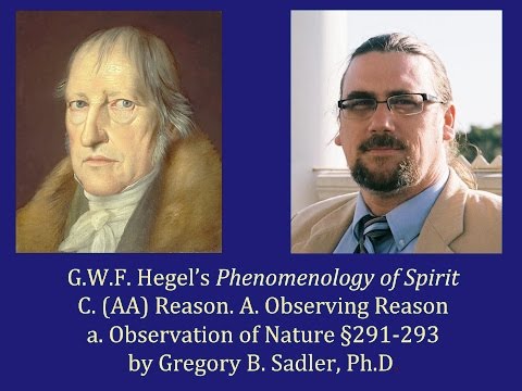 Half Hour Hegel:  Phenomenology of Spirit (Reason, Observation of Nature sec. 291-293)