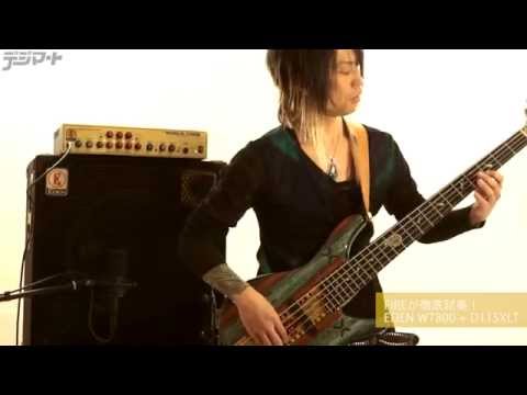 FIREが徹底試奏！EDEN WT800+D115XLT