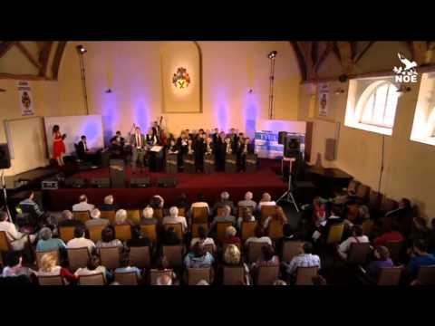 Chtěl bych mít kapelu - Petr Sovič & Golden Big Band Prague