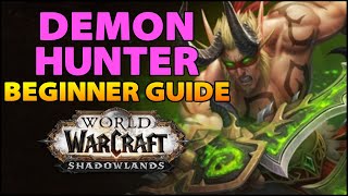 Demon Hunter Beginner Guide | Overview &amp; Builds for ALL Specs (WoW Shadowlands)
