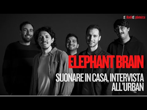 ELEPHANT BRAIN - Playing at Home, an interview at the Urban Club in Perugia