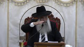 הרב שי פרי שליט״א -השיעור השבועי - פרשת נח תשפ"ו